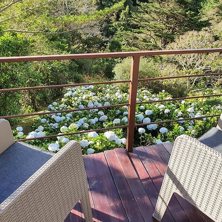 Quinta Esencia Villa Alajuela Eksteriør bilde