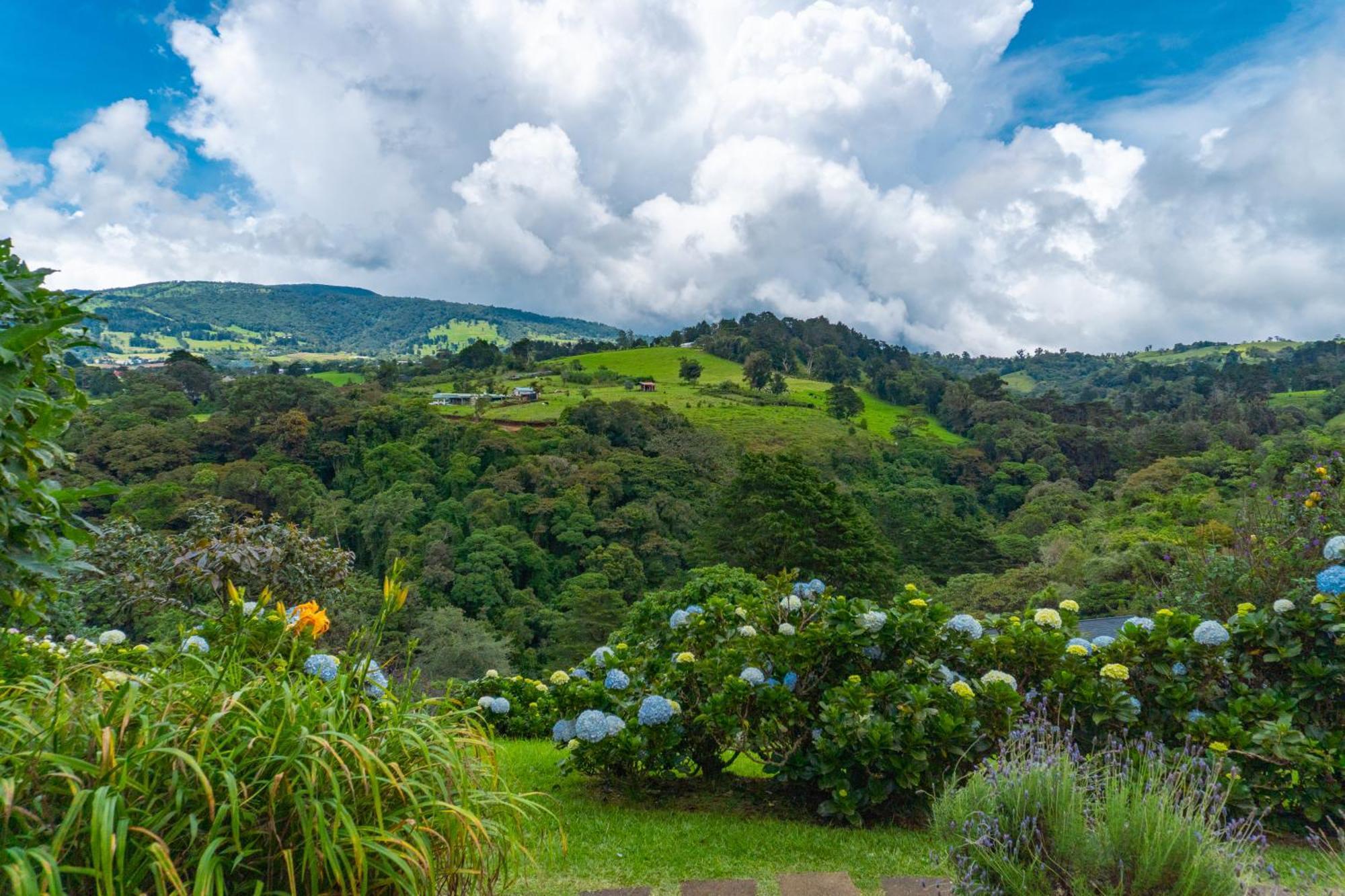 Quinta Esencia Villa Alajuela Eksteriør bilde