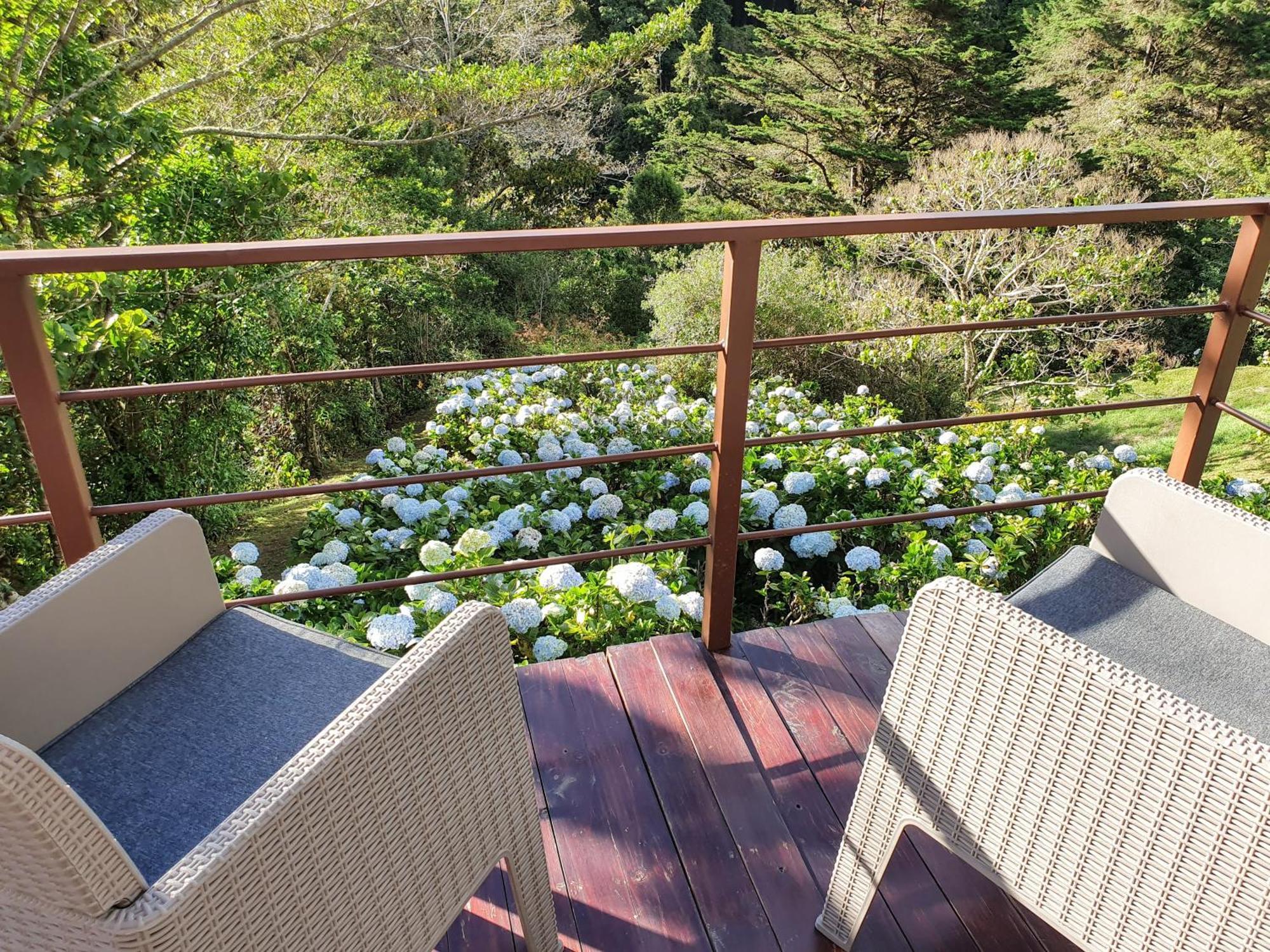 Quinta Esencia Villa Alajuela Eksteriør bilde