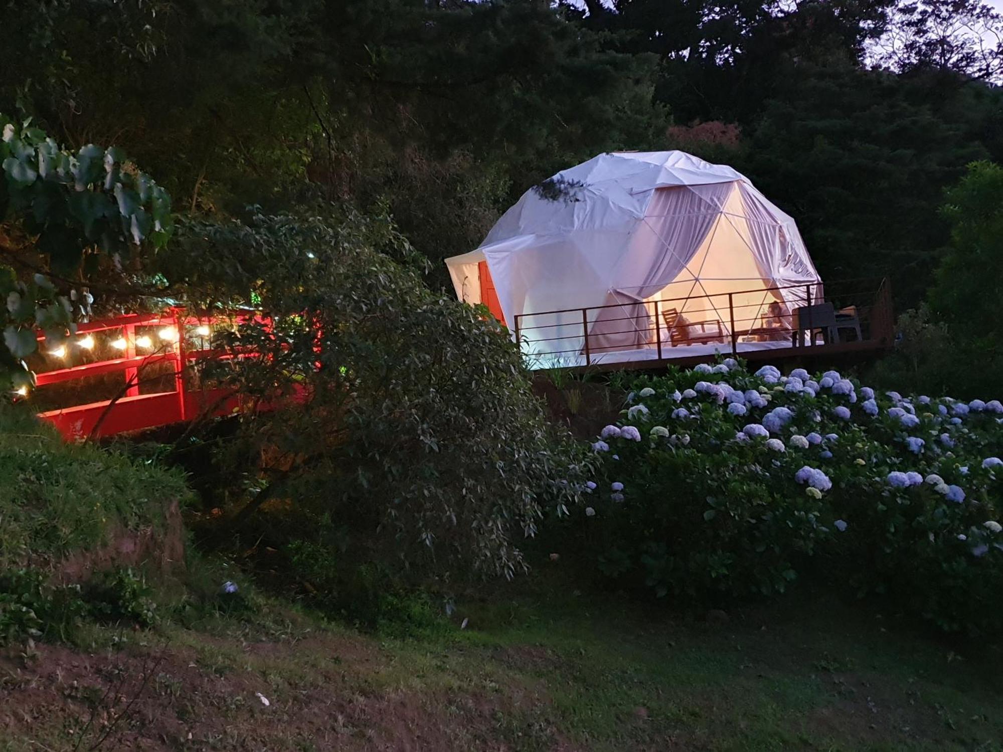 Quinta Esencia Villa Alajuela Eksteriør bilde