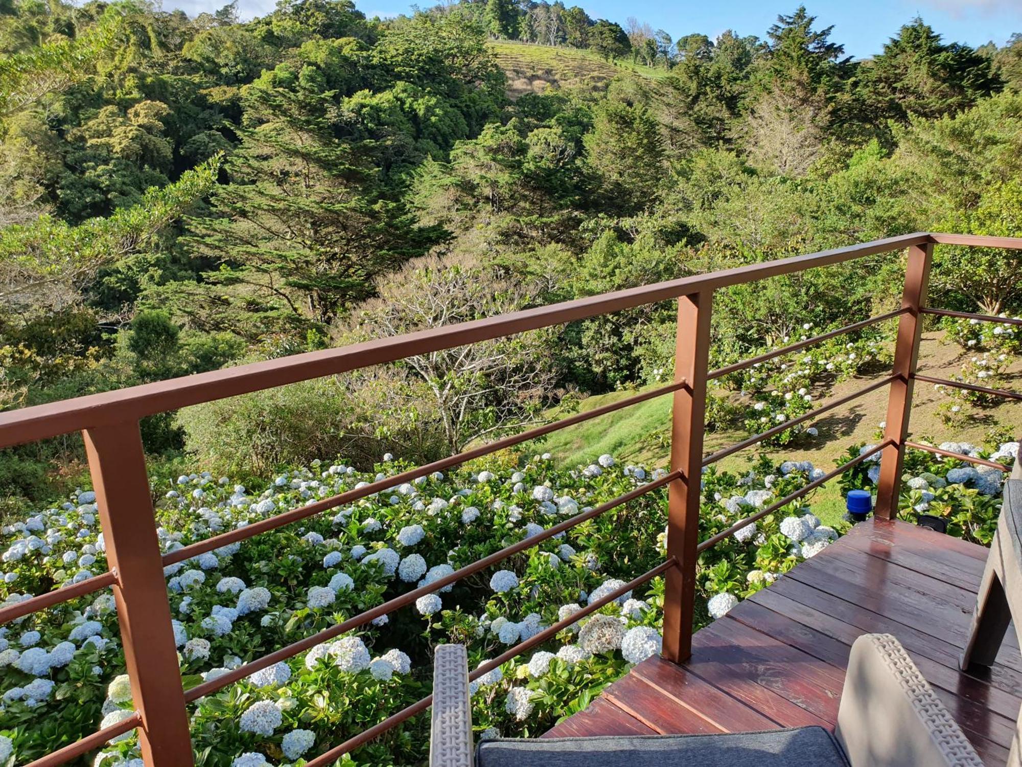 Quinta Esencia Villa Alajuela Eksteriør bilde