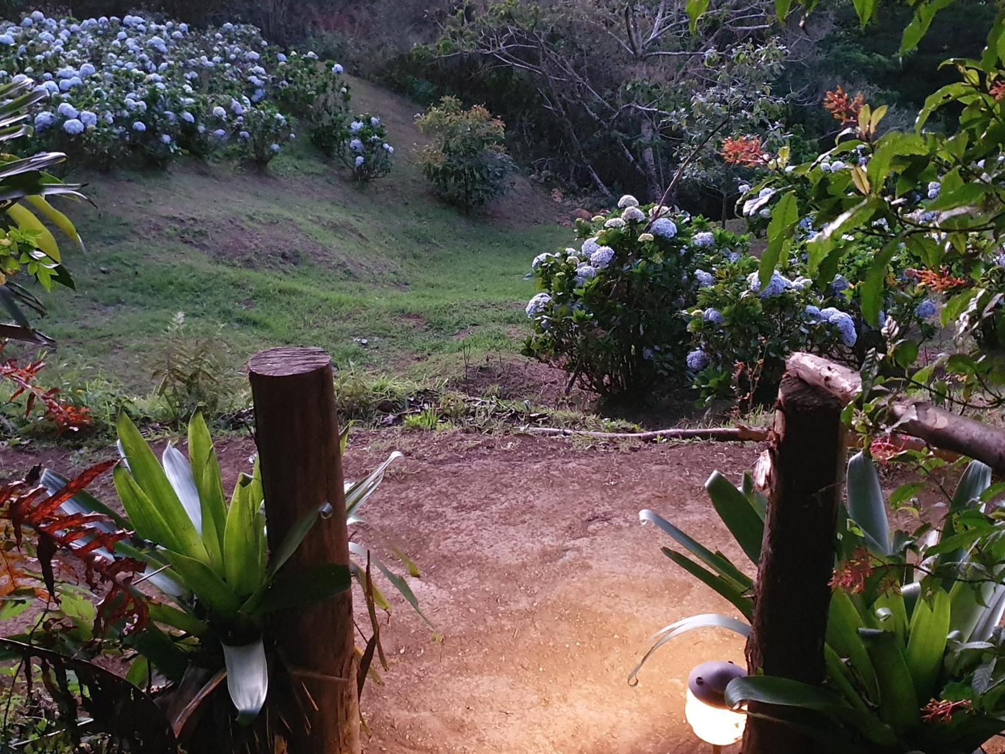 Quinta Esencia Villa Alajuela Eksteriør bilde