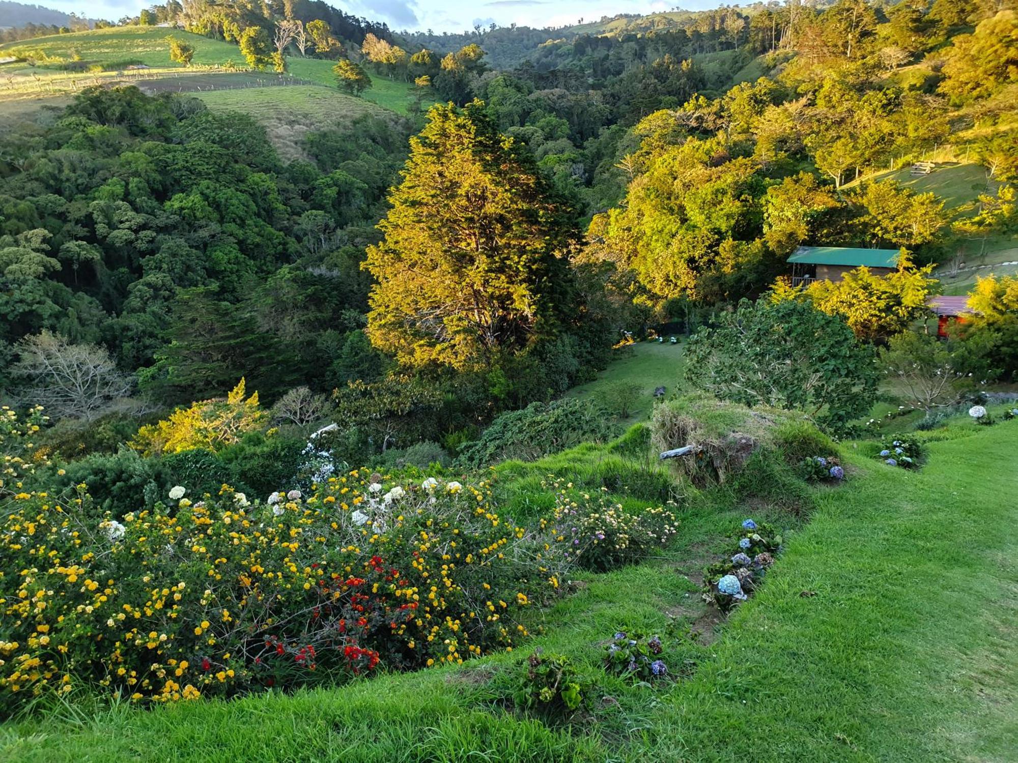 Quinta Esencia Villa Alajuela Eksteriør bilde