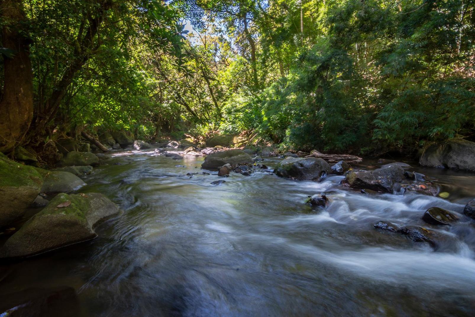 Quinta Esencia Villa Alajuela Eksteriør bilde