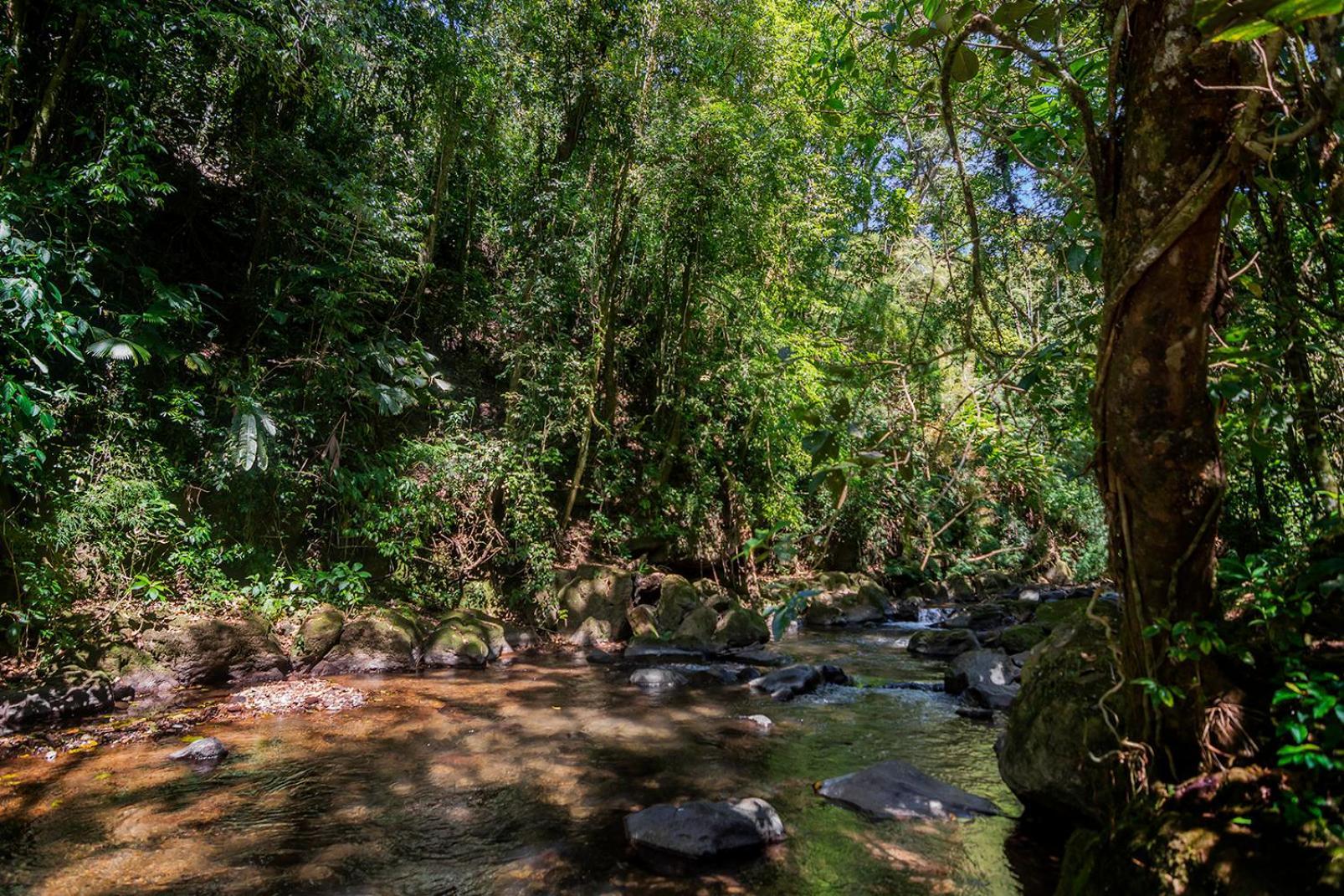 Quinta Esencia Villa Alajuela Eksteriør bilde